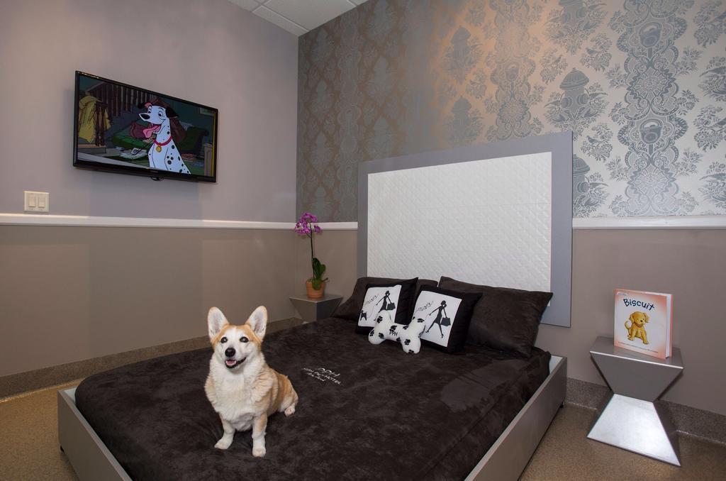 Freer Motel Экстерьер фото